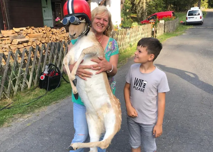 Retro Maruska Kladska Pensión